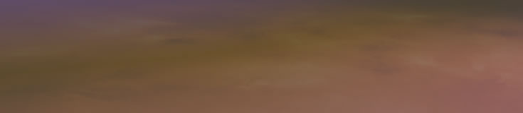 LogoBanner